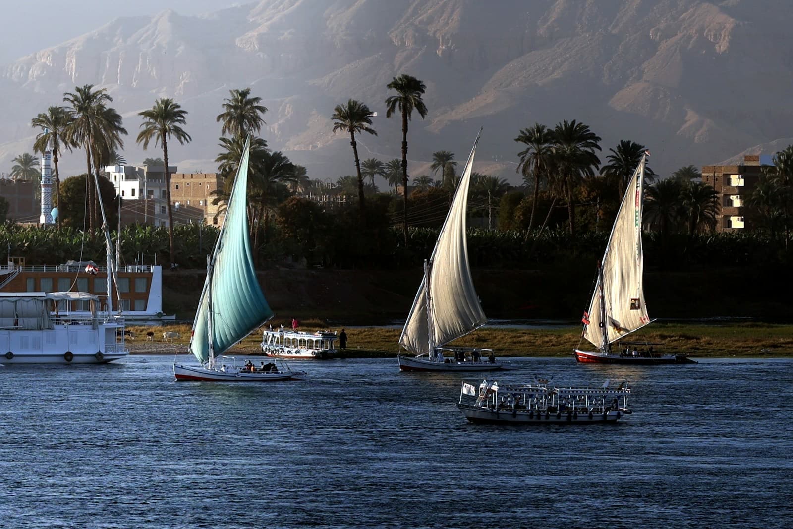 Sailboats on the Nile