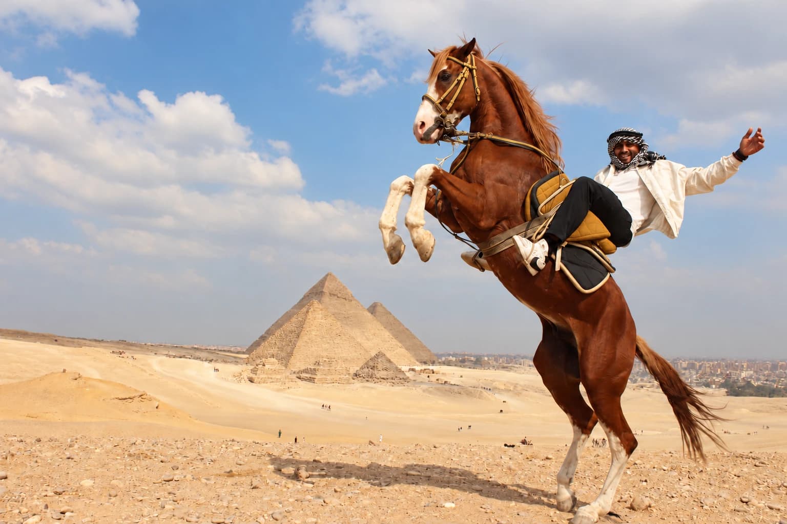 A horseman rearing in front of the Giza pyramids